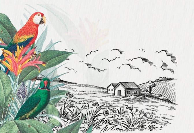Main-Page-image