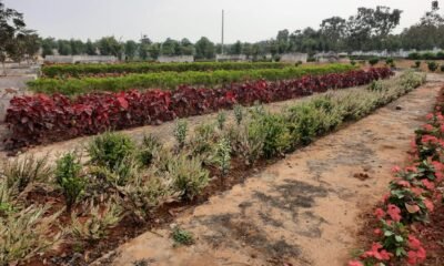 photo-3