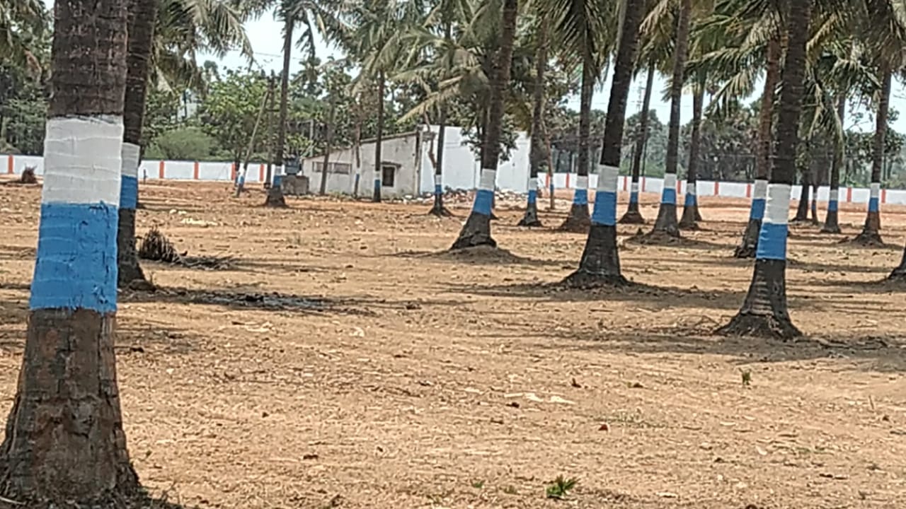 bhoomisri-2
