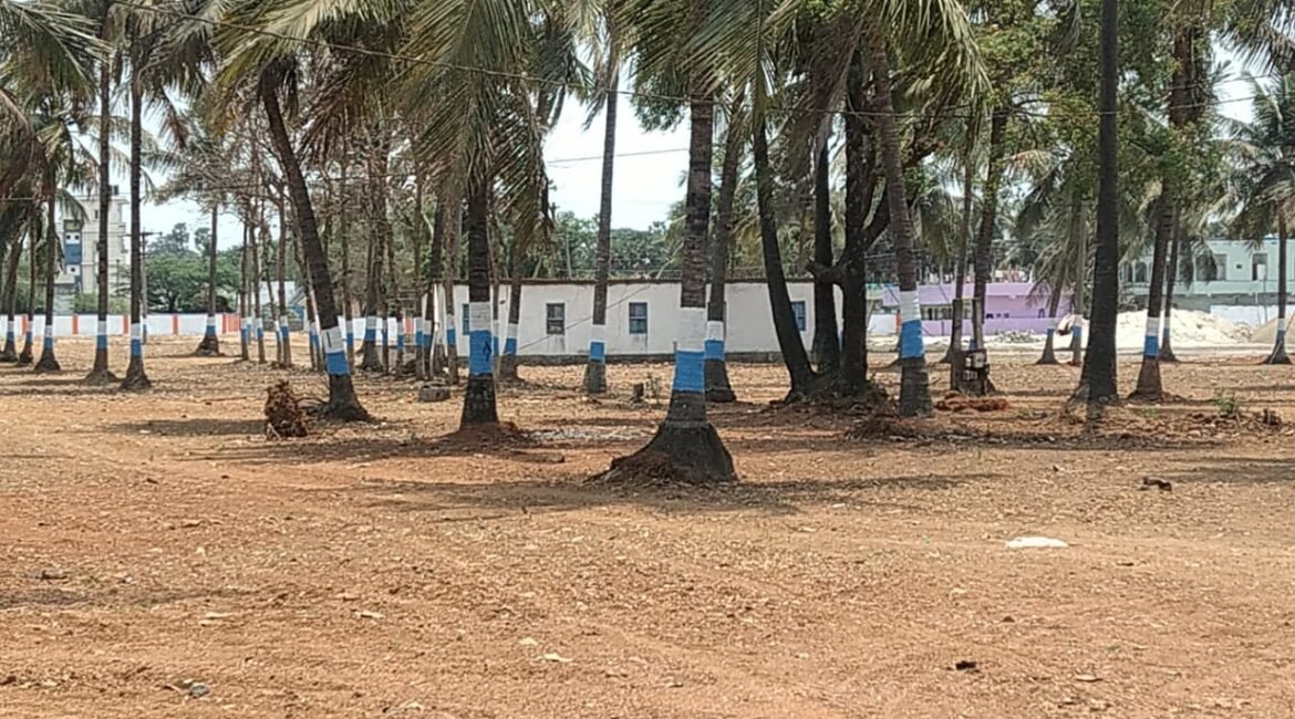 bhoomisri-3
