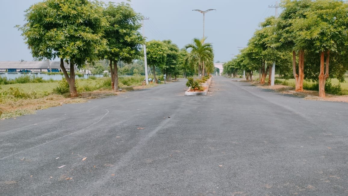 doubleroad1