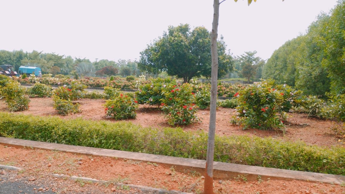 gardensite