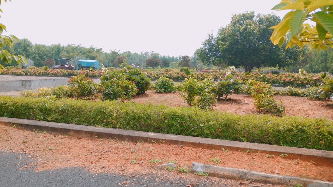 gardensite1