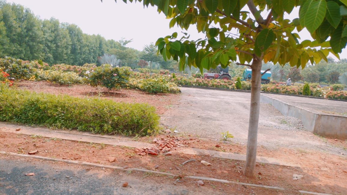gardensite5