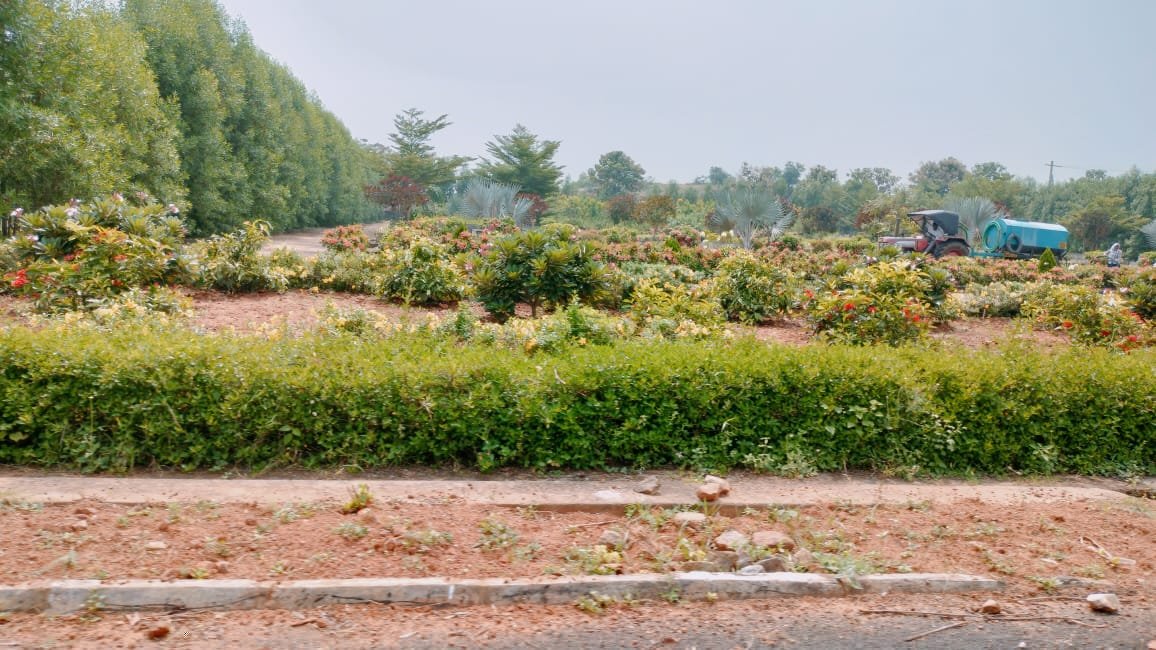 gardensite6