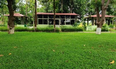 ncottage
